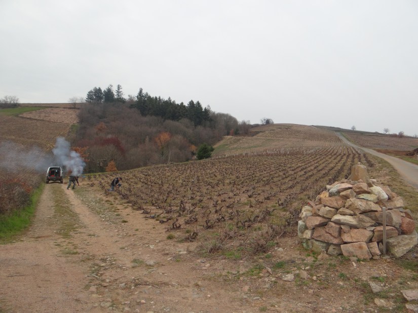 plateau de Grille Midi