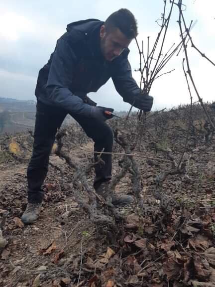 49938518_1394988047309734_105981792657342464_n