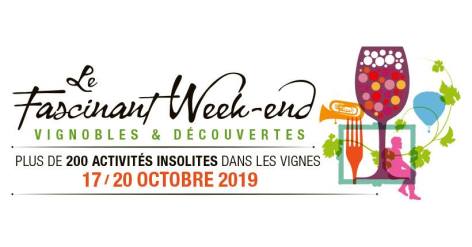 69576052_936548806712782_6839727082348478464_n