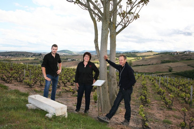 70577022_2382267971891344_6767925842023546880_n